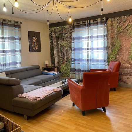Appartement Vintage A L Ancienne Forge Muhlbach-sur-Munster Εξωτερικό φωτογραφία