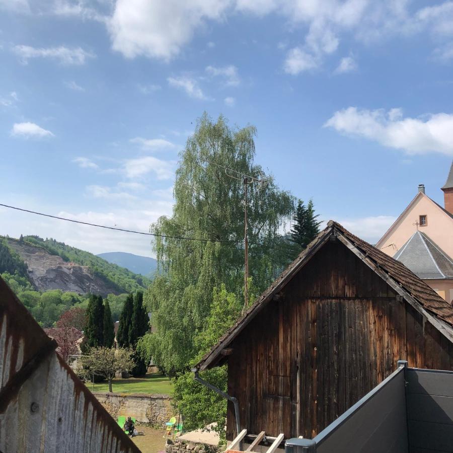 Appartement Vintage A L Ancienne Forge Muhlbach-sur-Munster Εξωτερικό φωτογραφία